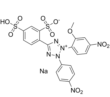 WST-8 sodium 193149-74-5